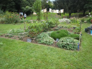 http://www.patchblog.org/?p=1443